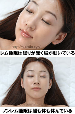 レム睡眠とノンレム睡眠